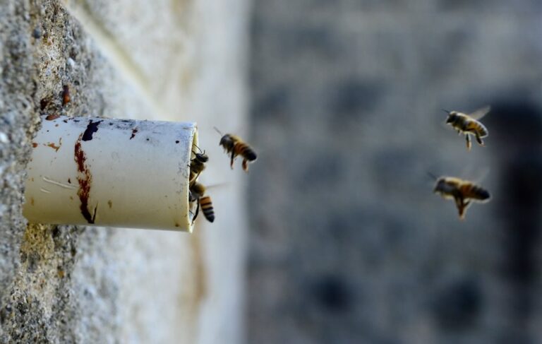 The Importance of Moisture Control